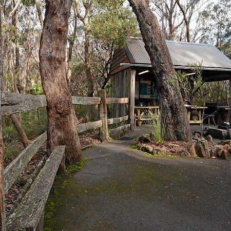 Jemby Rinjah Ecolodge Blackheath Luaran gambar