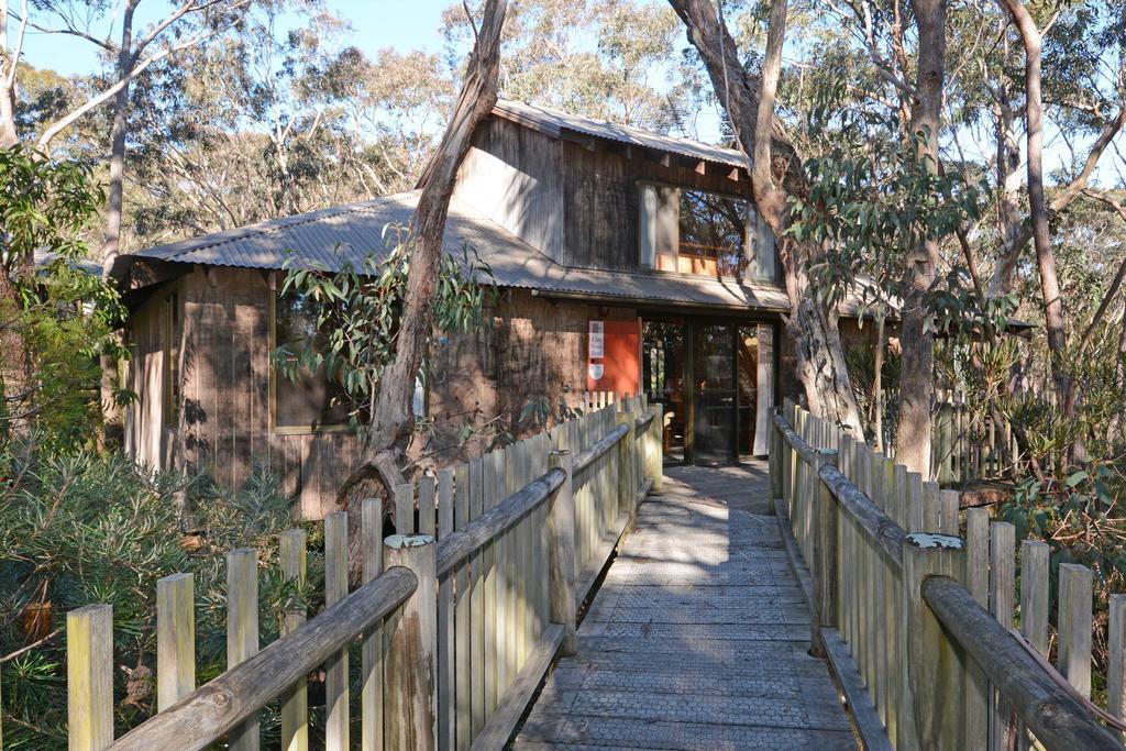 Jemby Rinjah Ecolodge Blackheath Bilik gambar