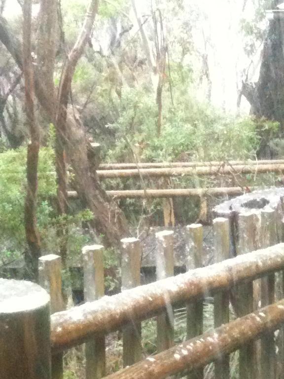 Jemby Rinjah Ecolodge Blackheath Luaran gambar