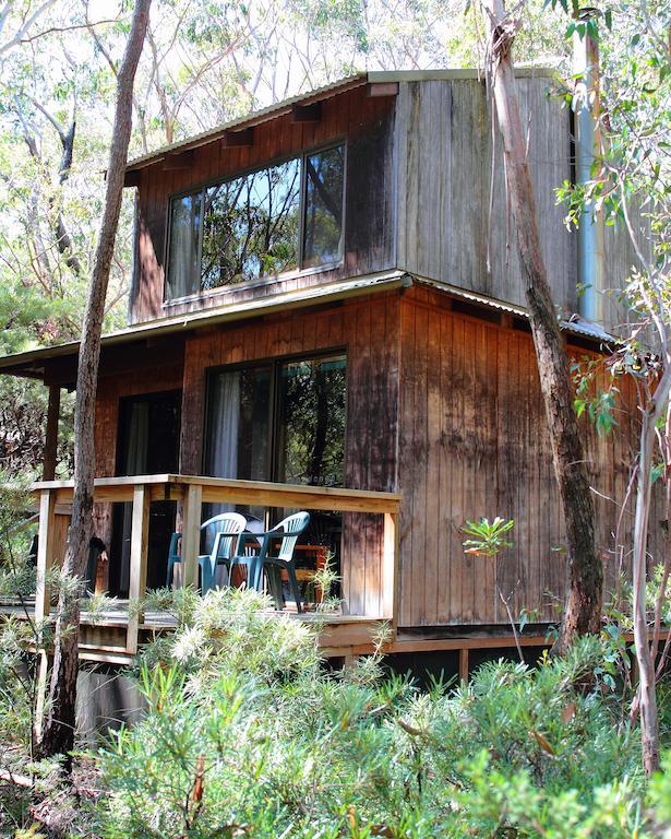 Jemby Rinjah Ecolodge Blackheath Bilik gambar